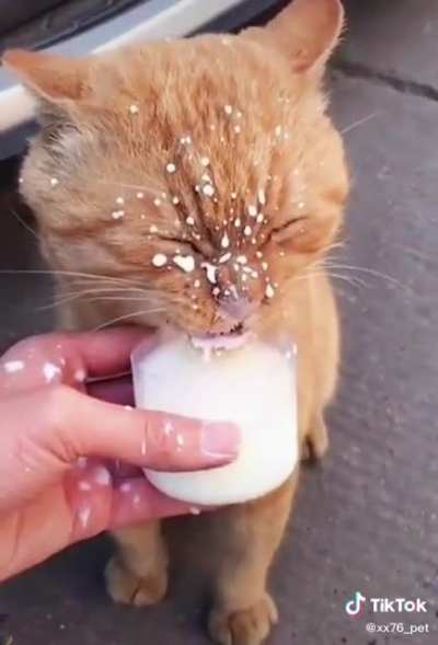 Got Milk?