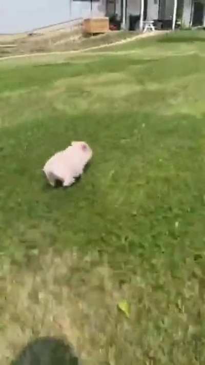 Excuse me sir! ?