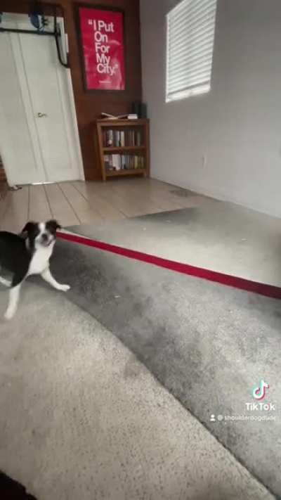 Throw the ball!