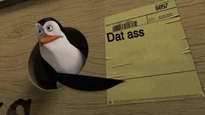 Literal memes are the best memes