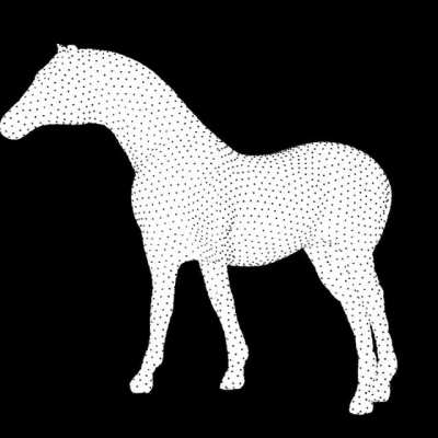 Zebra Illusion