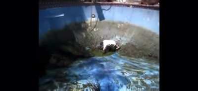 Walking down a slippery pool