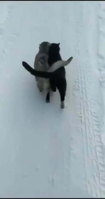 Besties