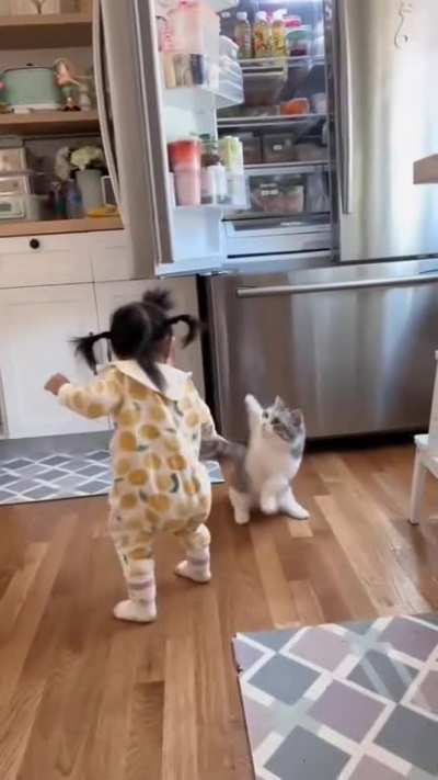 nooo hooman!