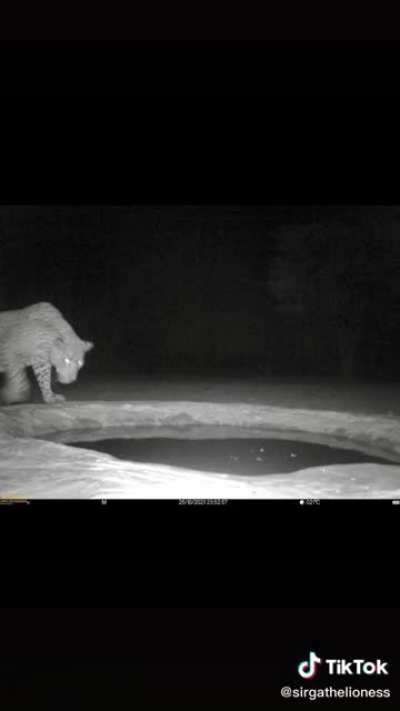 Cameras at water points in Botswana