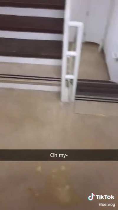 Trying to climb steps without touching them