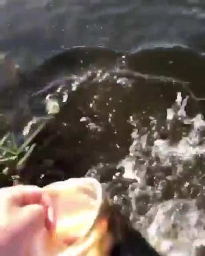 How to fish