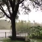An island of trees floating by during Hurricane Dorian