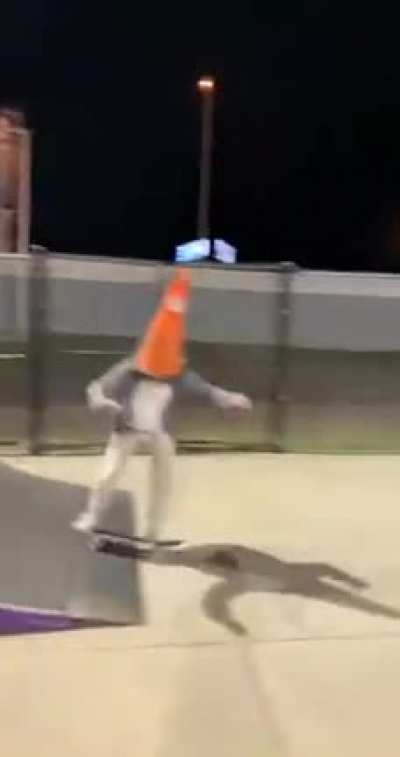 Coney hawk