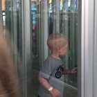 Kids are dumb
