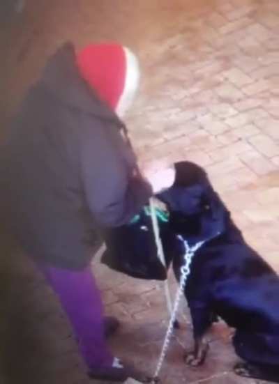 Don't pet a stranger's rottweiler