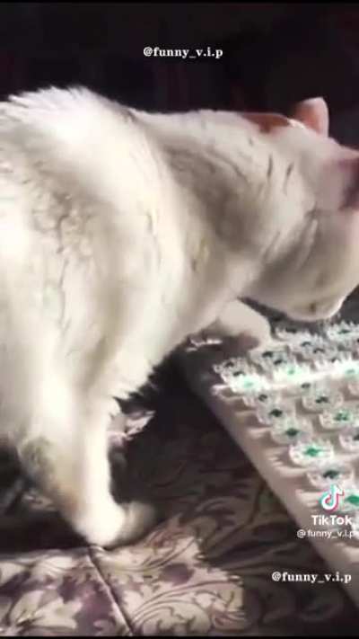 A compilation of startles