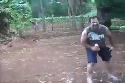 longest fall ever