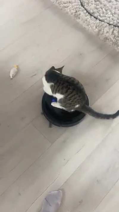 His way of helping around the house..