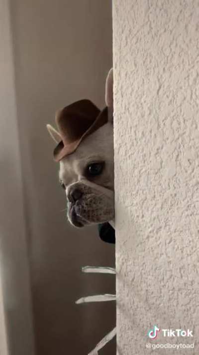Freddy