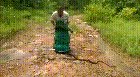 Releasing snakes into the wild