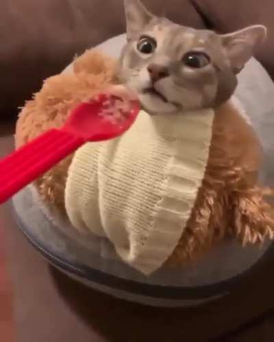 Tempted by smell