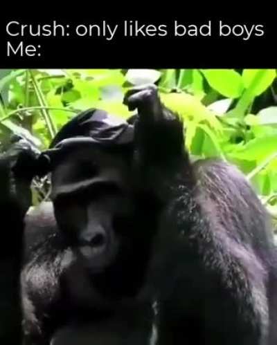 BIG MONKE