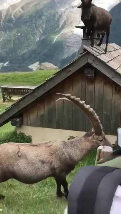 ? Welcome to Switzerland