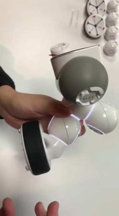 robot.mp4