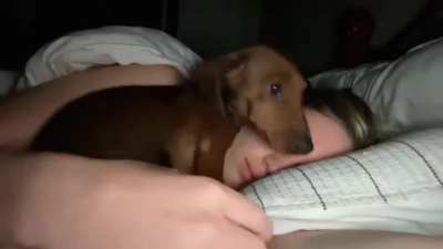 "I finally caught him. He gets up at midnight and crawls into bed with me."
