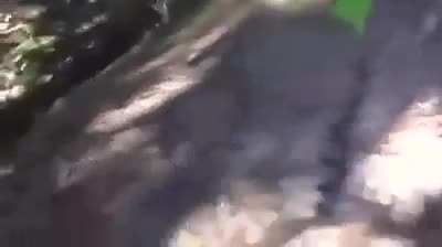 Guy eating maggots from dead moose with the best narration?