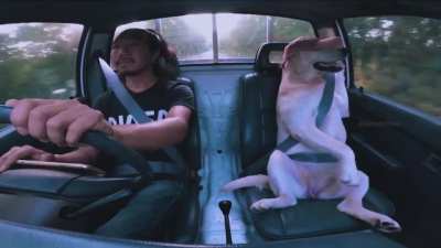Road trip goals with your best bud ?