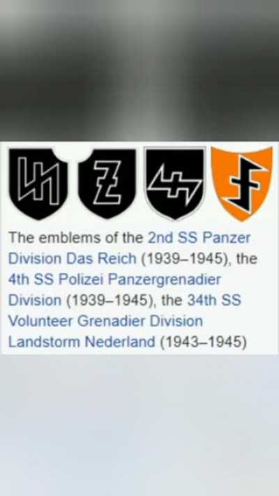 Tiktokers get matching tattoos without realizing it was a Nazi symbol