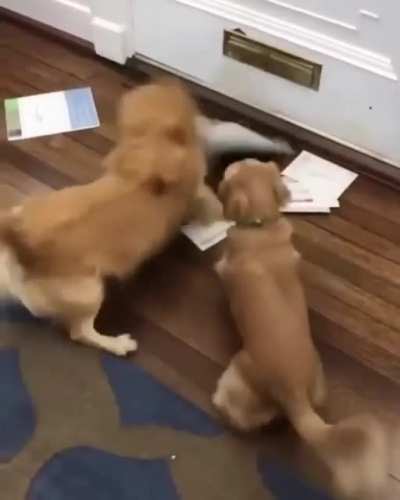 You've got a mail