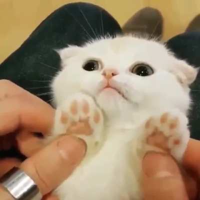 Tiny