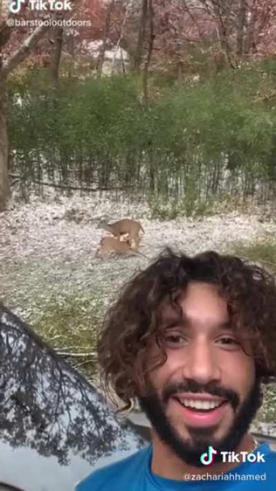 The beauty of nature
