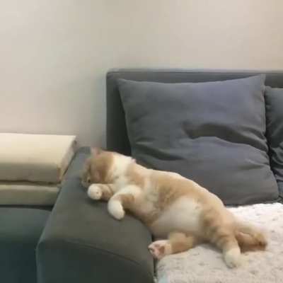 Riding a new bike while dreaming then crashing it