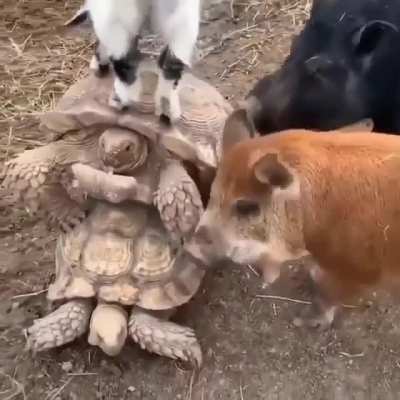 Team cock block to the rescue!