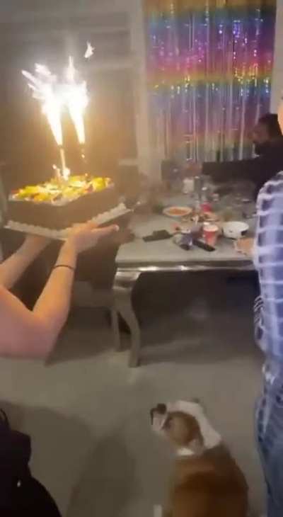 here goes my cake?