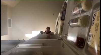 Chilling on the fridge