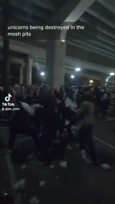 Ever wonder what exactly happens at the Jacksonville Bridge Shows?