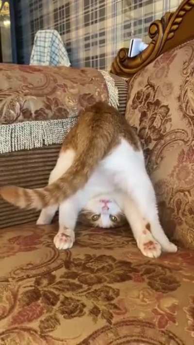 How you doin