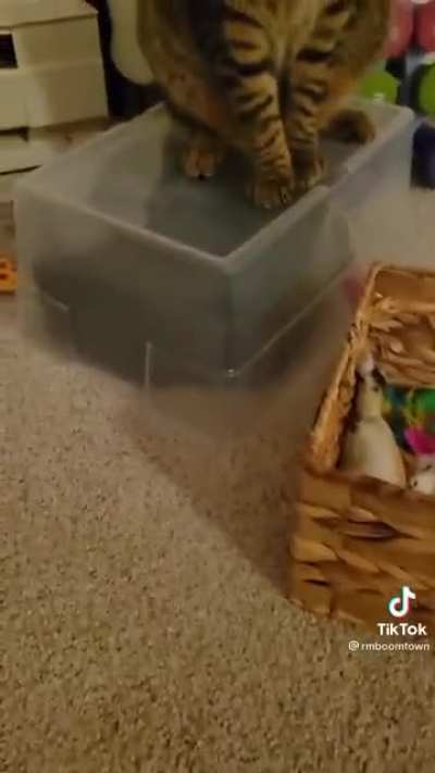 King of the hill