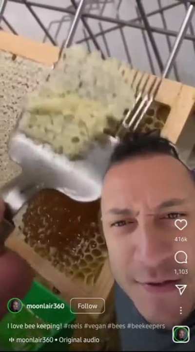 Interesting fact about beekeeping