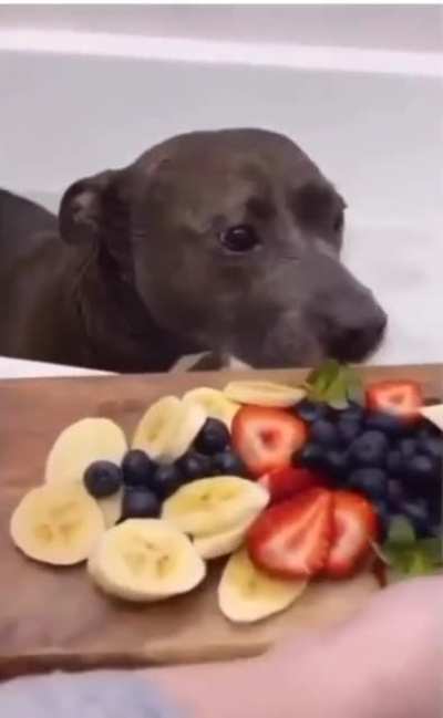I want everything that this ? doggo has