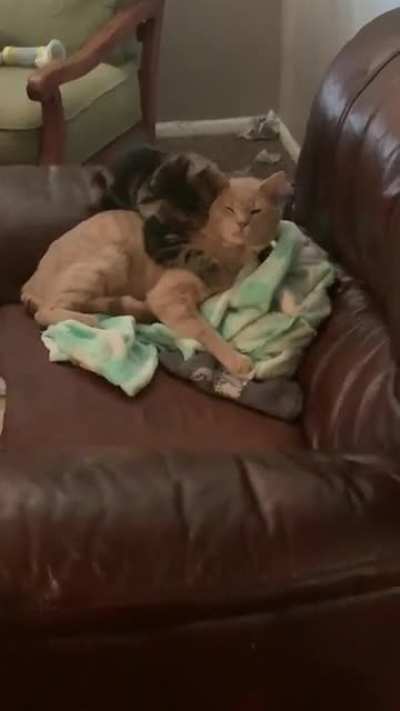 ??Theo got a new little brother ??