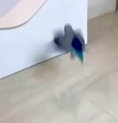 Maybe Maybe Maybe
