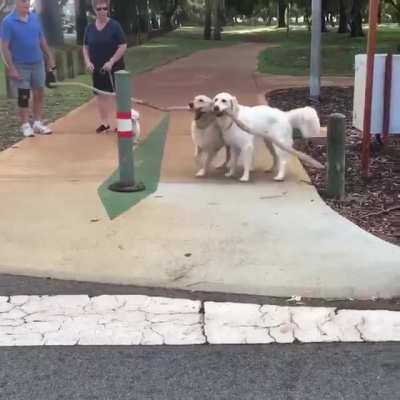 Helping out