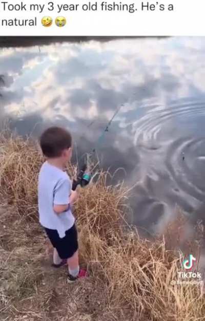 Fish can fly