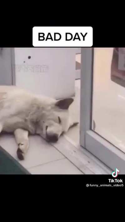 Because he had a bad day ?