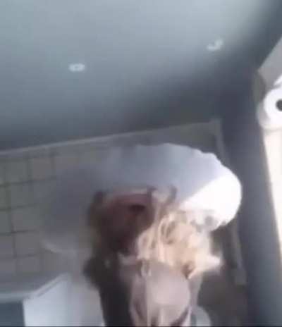 What the f*cking wall?