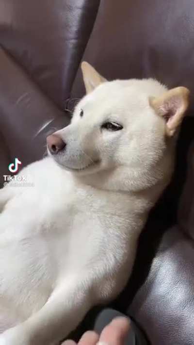 “I guess it’s time to sleep now”