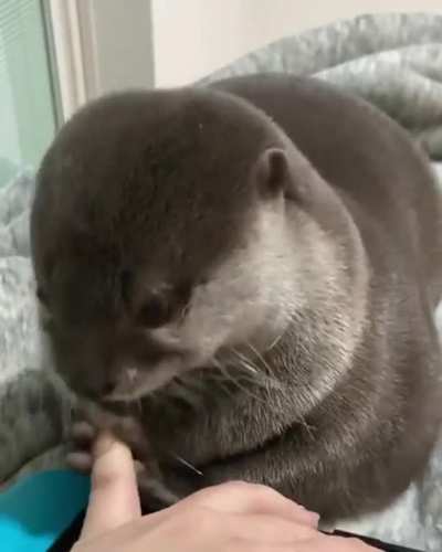It’s cute
