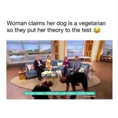 To make your dog vegetarian