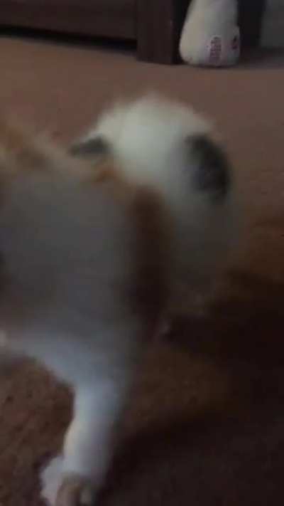 She yell